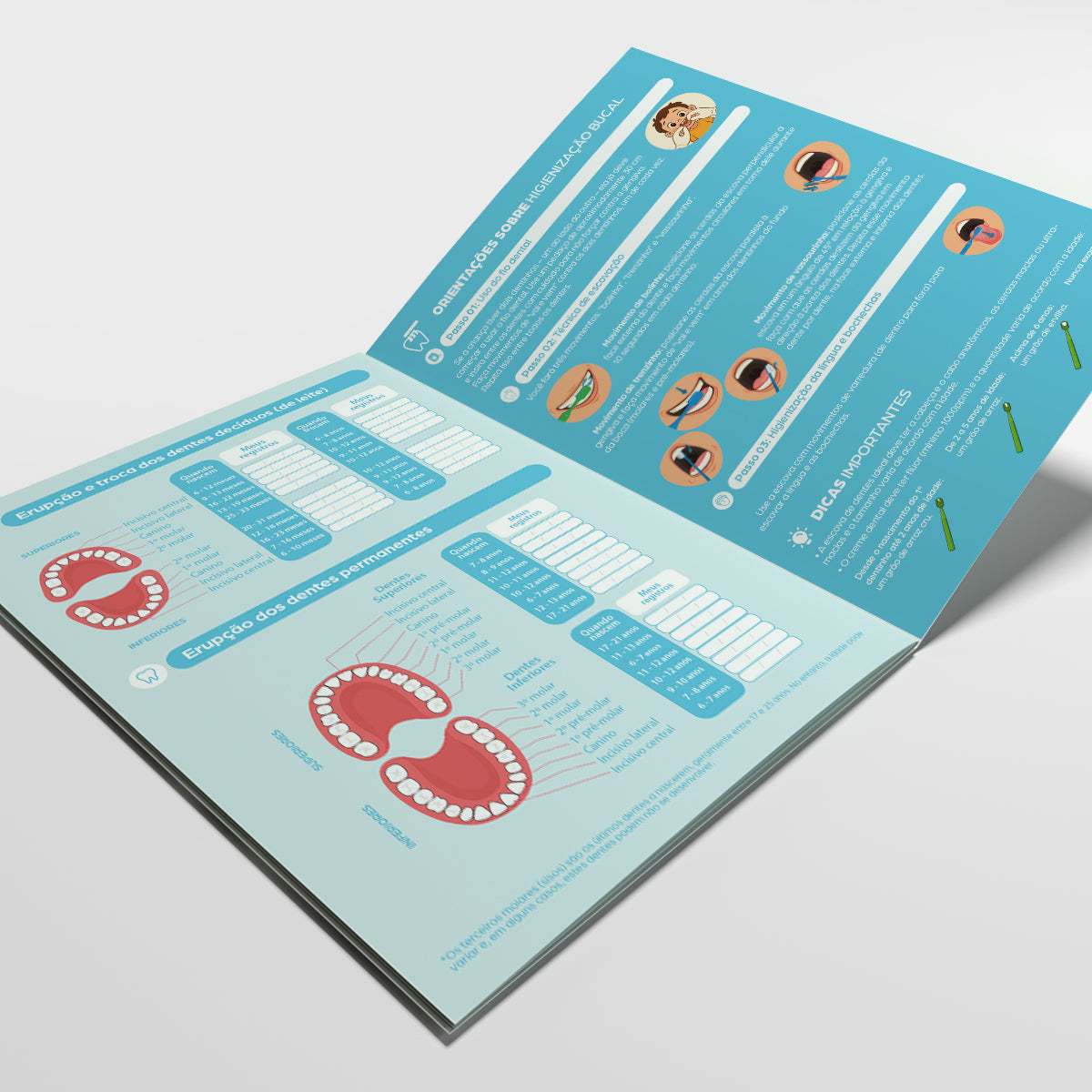 Carteira de Acompanhamento Odontopediátrico 8 Páginas | Modelo 005