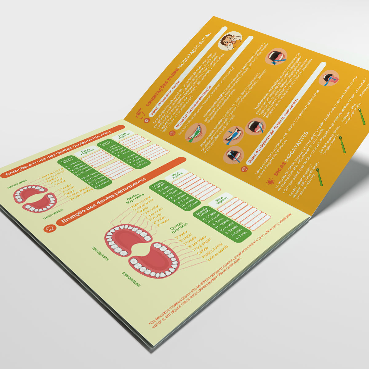 Carteira de Acompanhamento Odontopediátrico 8 Páginas | Modelo 006